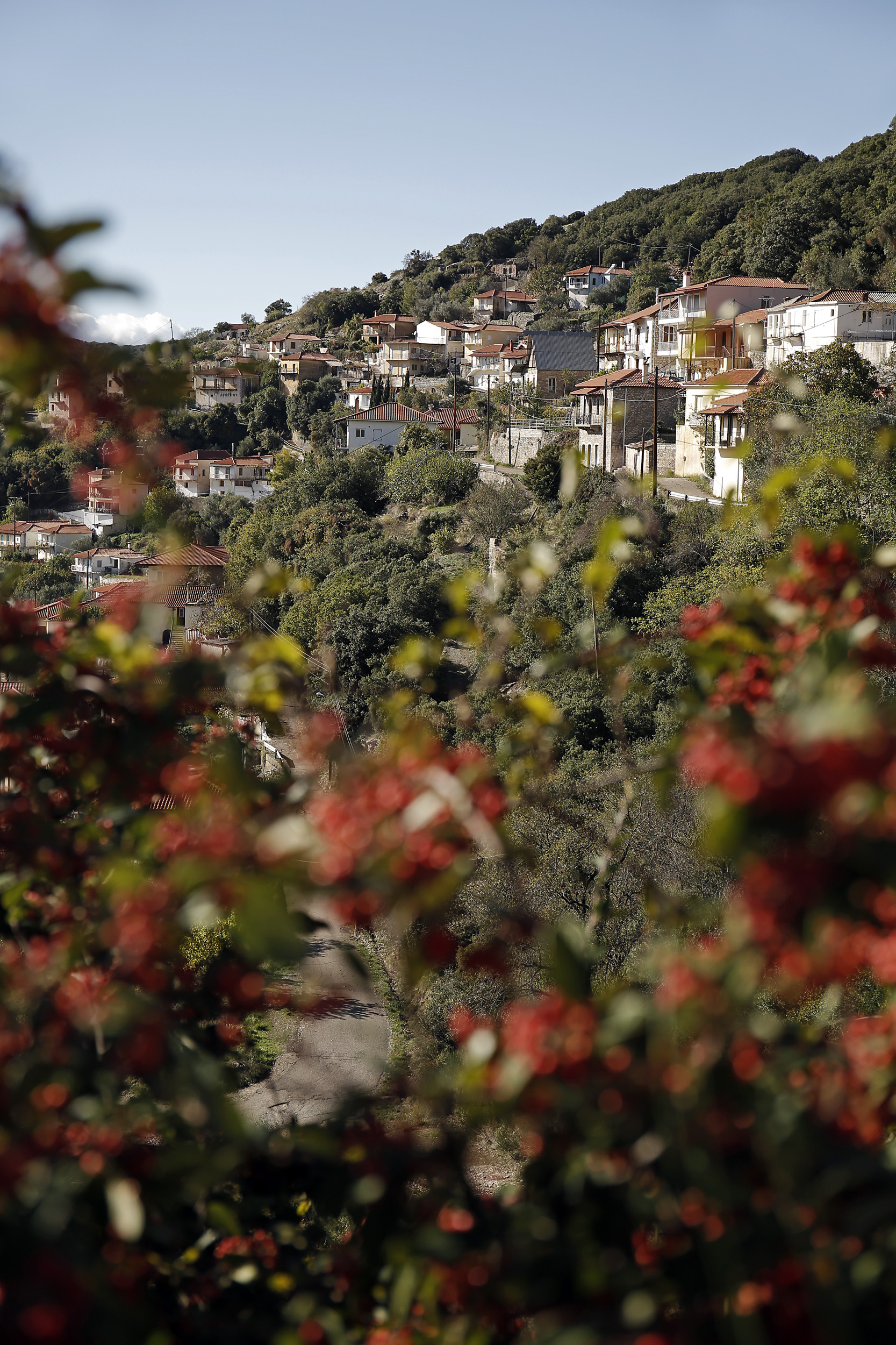 Απολαυστική οδοιπορική στο δάσος Φολόης και τη λίμνη Λάδωνα
